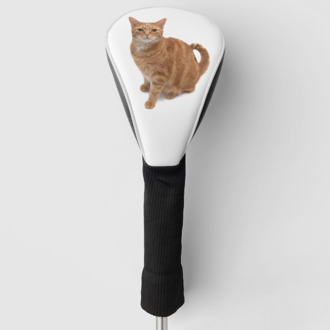 Orange Cat Standing Golf Headcover (Vorderseite)