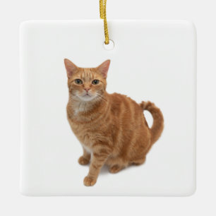 Orange Cat Standing Keramikornament