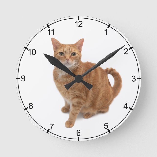 Orange Cat Standing Runde Wanduhr (Vorderseite)