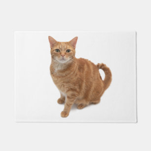 Orange Cat Stehend Fußmatte