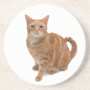 Orange Cat Stehend Getränkeuntersetzer