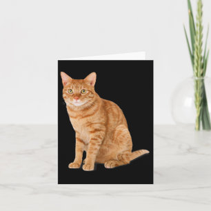 Orange Cat Tab Funny Cat Parody Cat Lover Gift Kit Karte