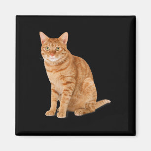 Orange Cat Tab Funny Cat Parody Cat Lover Gift Kit Magnet