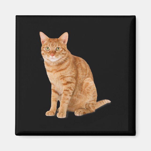 Orange Cat Tab Funny Cat Parody Cat Lover Gift Kit Magnet (Vorne)