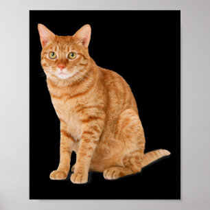 Orange Cat Tab Funny Cat Parody Cat Lover Gift Kit Poster