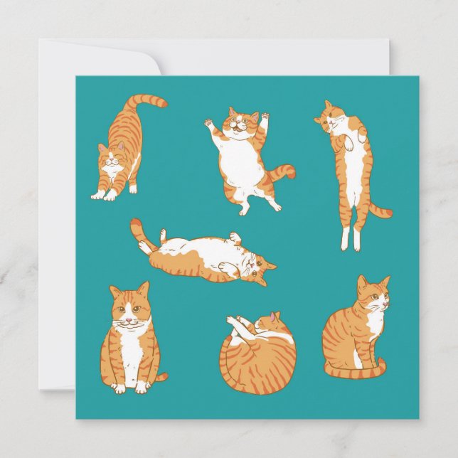Orange Cats Funny Birthday Karte (Vorderseite)
