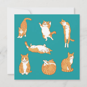 Orange Cats Funny Birthday Karte