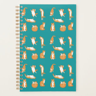 Orange Cats Funny Planer
