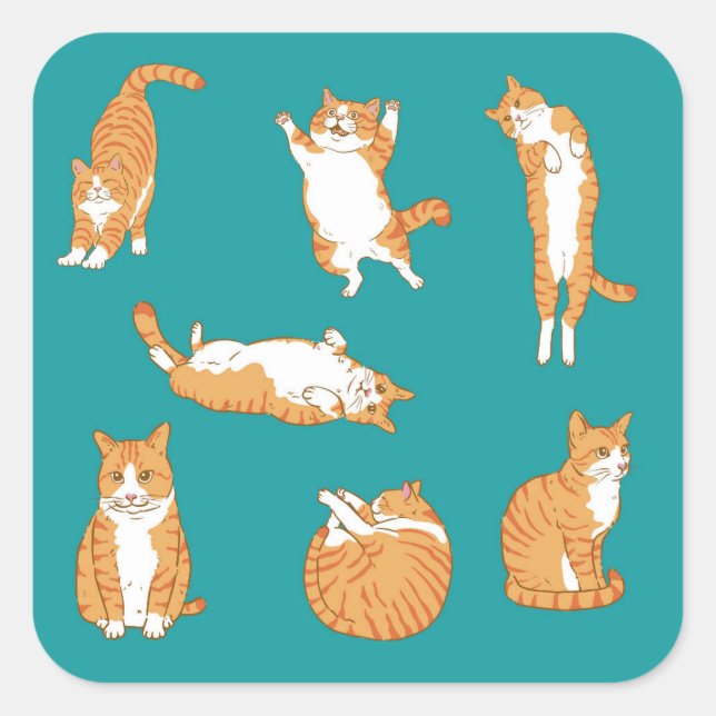 Orange Cats Funny Quadratischer Aufkleber (Vorderseite)