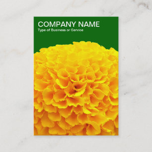 Orange Chrysanthemum - Deep Grass Green 006600 Visitenkarte
