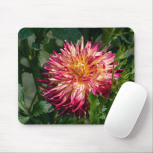 Orange Chrysanthemum Fotografy, kanadische Blume Mousepad