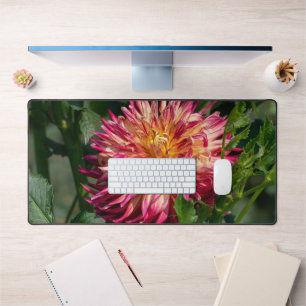Orange Chrysanthemum Fotografy, kanadische Blume Schreibtischunterlage