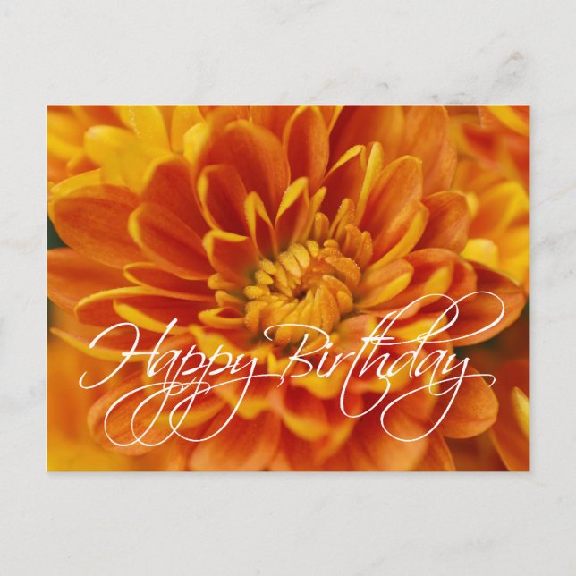 Orange Chrysanthemum Happy Birthday Postkarte (Vorderseite)