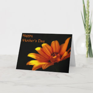 Orange Chrysanthemum Muttertagskarte Karte