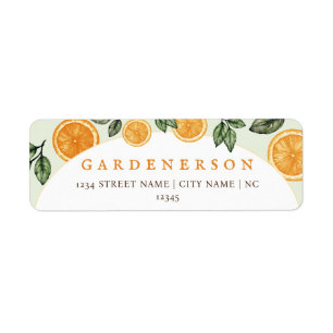 Orange Citrus Fruit