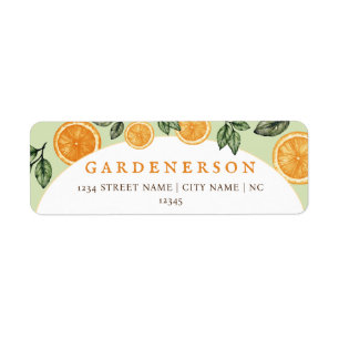 Orange Citrus Fruit