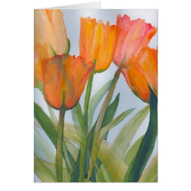 Orange Citrus Tulips (Vorne)