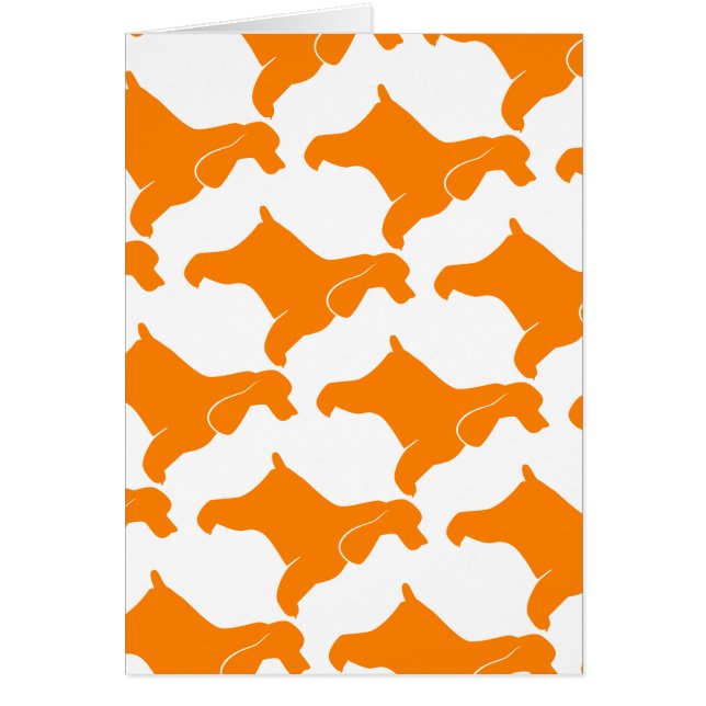 Orange Cocker Spaniel (Vorne)