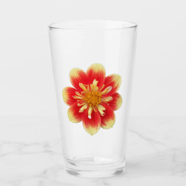 Orange Collarette Dahlia Bloom Floral Glas