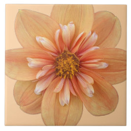 Orange Collarette Dahlia Floral Fliese