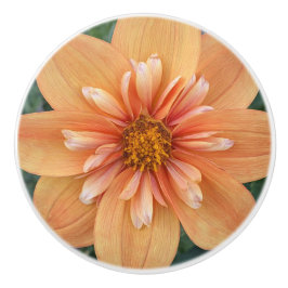 Orange Collarette Dahlia Floral Keramikknauf