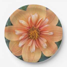 Orange Collarette Dahlia Floral Pappteller