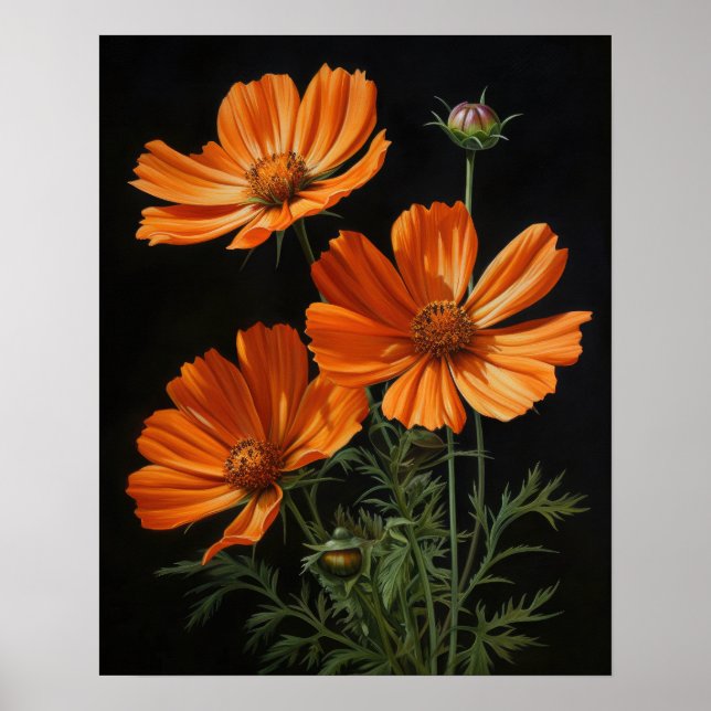 Orange Cosmos Blume Art Print Poster (Vorne)