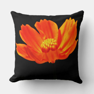 Orange Cosmos-Blume Kissen