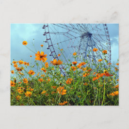 Orange Cosmos Blume & Riesenrad: Tokyo Postca Postkarte