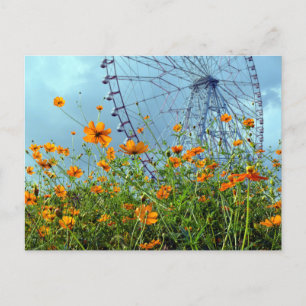 Orange Cosmos Blume & Riesenrad: Tokyo Postca Postkarte