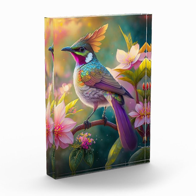Orange Created Rainbow Jay Fantasy Bird Fotoblock (Links)