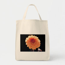 Orange Dahlia – Fine Art Blumenfotografie