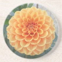 Orange Dahlia Sandstone Untersetzer