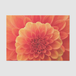 Orange Dahlia Seidenpapier