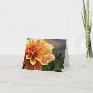 Orange Dahlie Karte