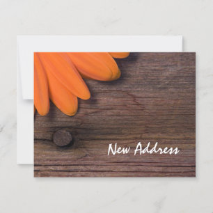 Orange Daisy and Rustic Barn Wood New Address Card Ankündigung