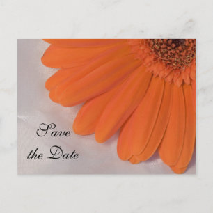 Orange Daisy and White Satin Wedding Save the Date Ankündigungspostkarte