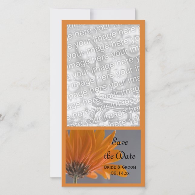 Orange Daisy auf der grauen Hochzeit Speichern Sie Save The Date (Vorderseite)