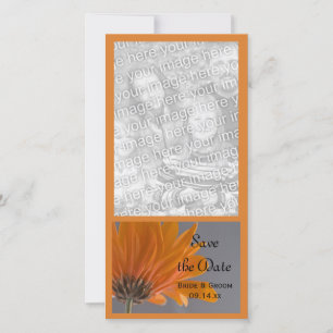 Orange Daisy auf der grauen Hochzeit Speichern Sie Save The Date