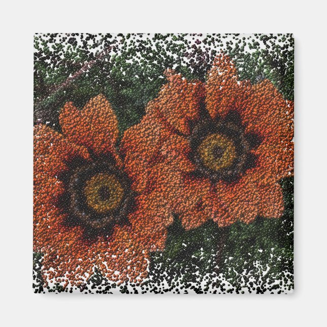 Orange Daisy Balls Magnet (Vorne)