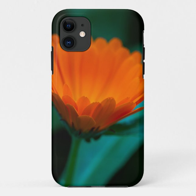 Orange daisy Blume Case-Mate iPhone Hülle (Rückseite)