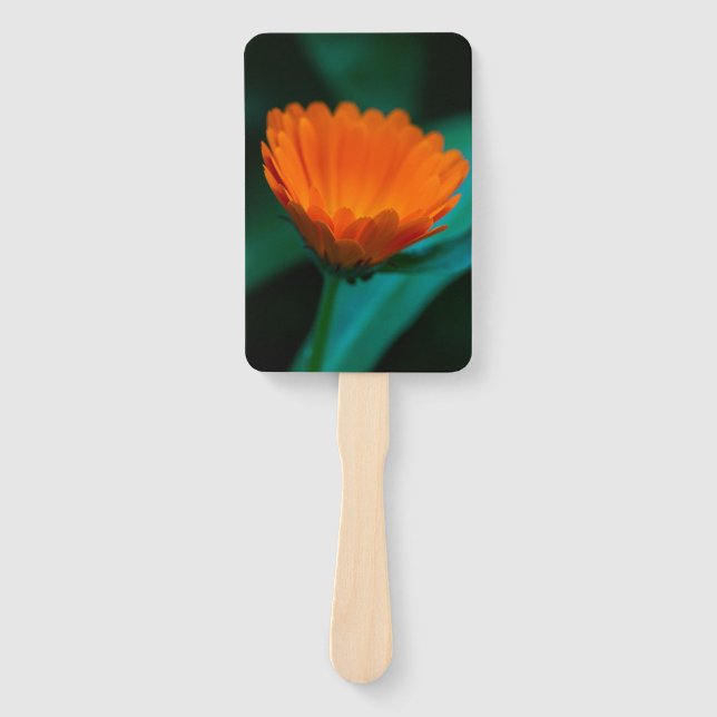 Orange daisy Blume Fächer (Vorderseite)