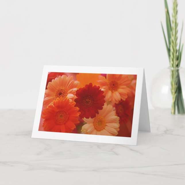 Orange Daisy Blume Foto Hinweis oder Grußkarten Karte (Vorderseite)