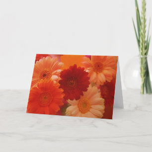 Orange Daisy Blume Foto Note oder Grußkarte Karte