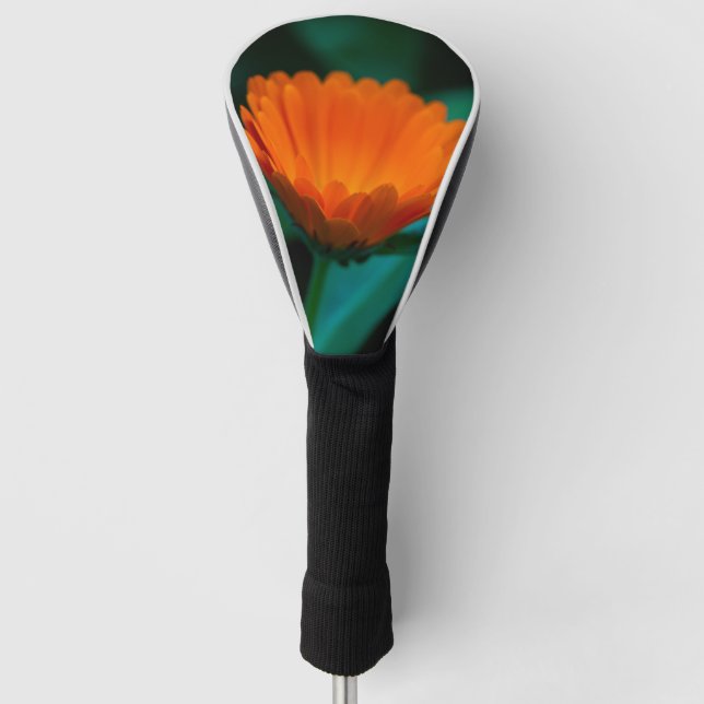 Orange daisy Blume Golf Headcover (Vorderseite)