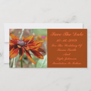 Orange Daisy Blume Hochzeit rettet das Datum Save The Date