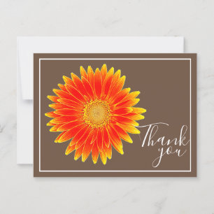 Orange Daisy Blume mit braunem Hintergrund Vielen  Postkarte