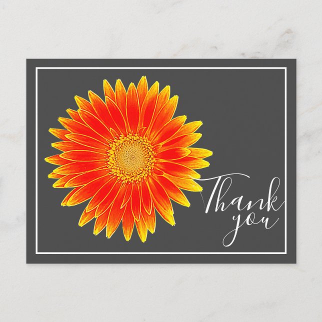 Orange Daisy Blume mit grauem Hintergrund Vielen D Postkarte (Vorderseite)