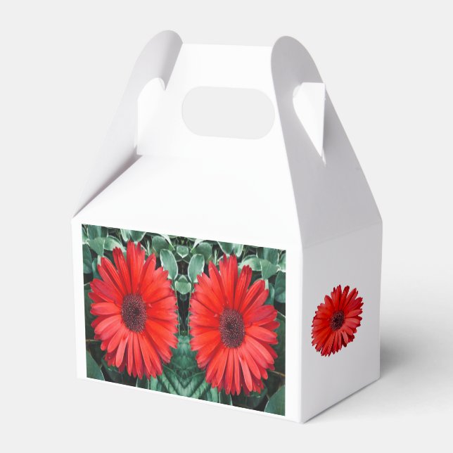 Orange Daisy Favor Box Geschenkschachtel (Vorderseite)
