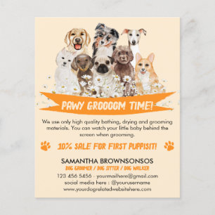 Orange Daisy Floral Design for Dog Groomer Flyer